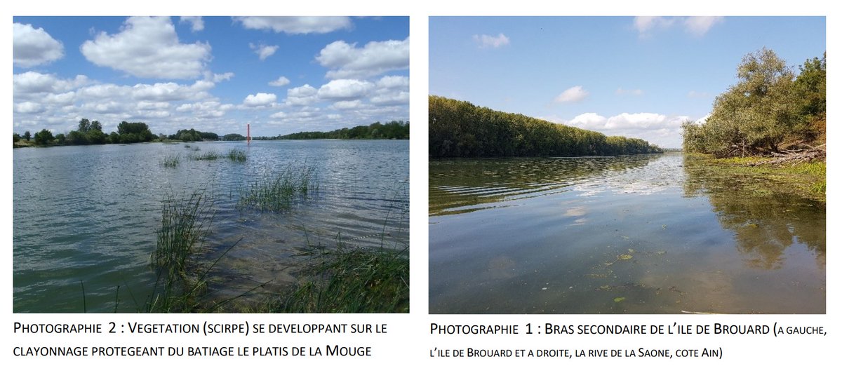VaIentinn's tweet photo. En plus de présenter les avantages décrits ci-dessus, ces digues immergées permettent à la faune et à la flore de se développer plus amplement, comme le montre une étude réalisée en 2021 et disponible en intégralité ci-dessous. 

https://t.co/vRKyFdth5f https://t.co/eYmgk6QOO1