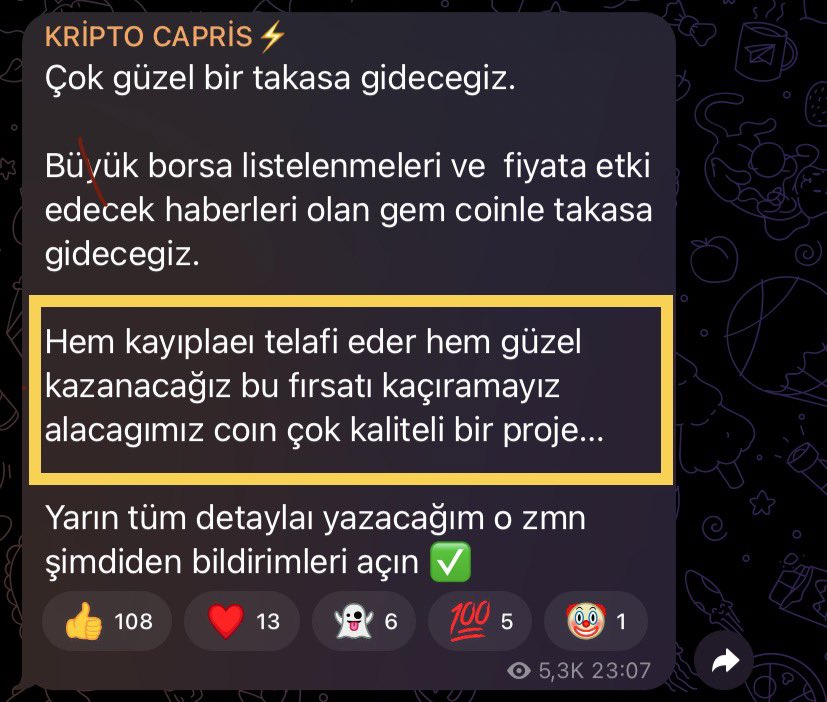 Kripto Capris tweet media