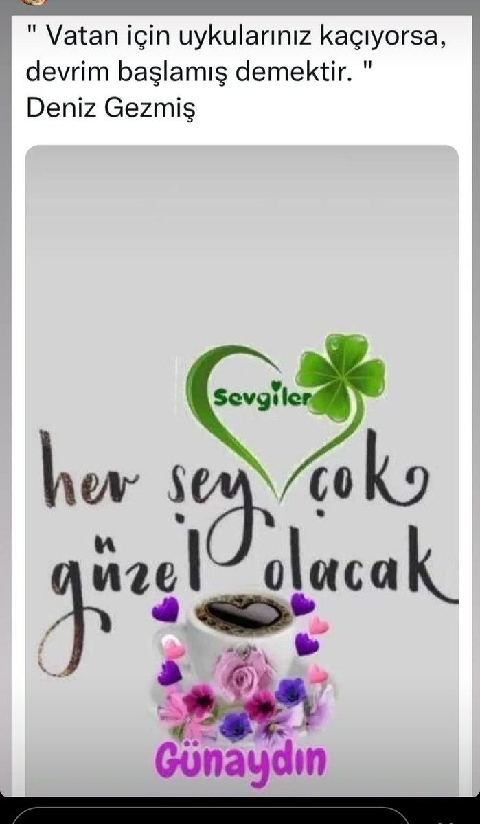 berrinoktas's tweet photo. https://t.co/xOr7KUK3Pc
