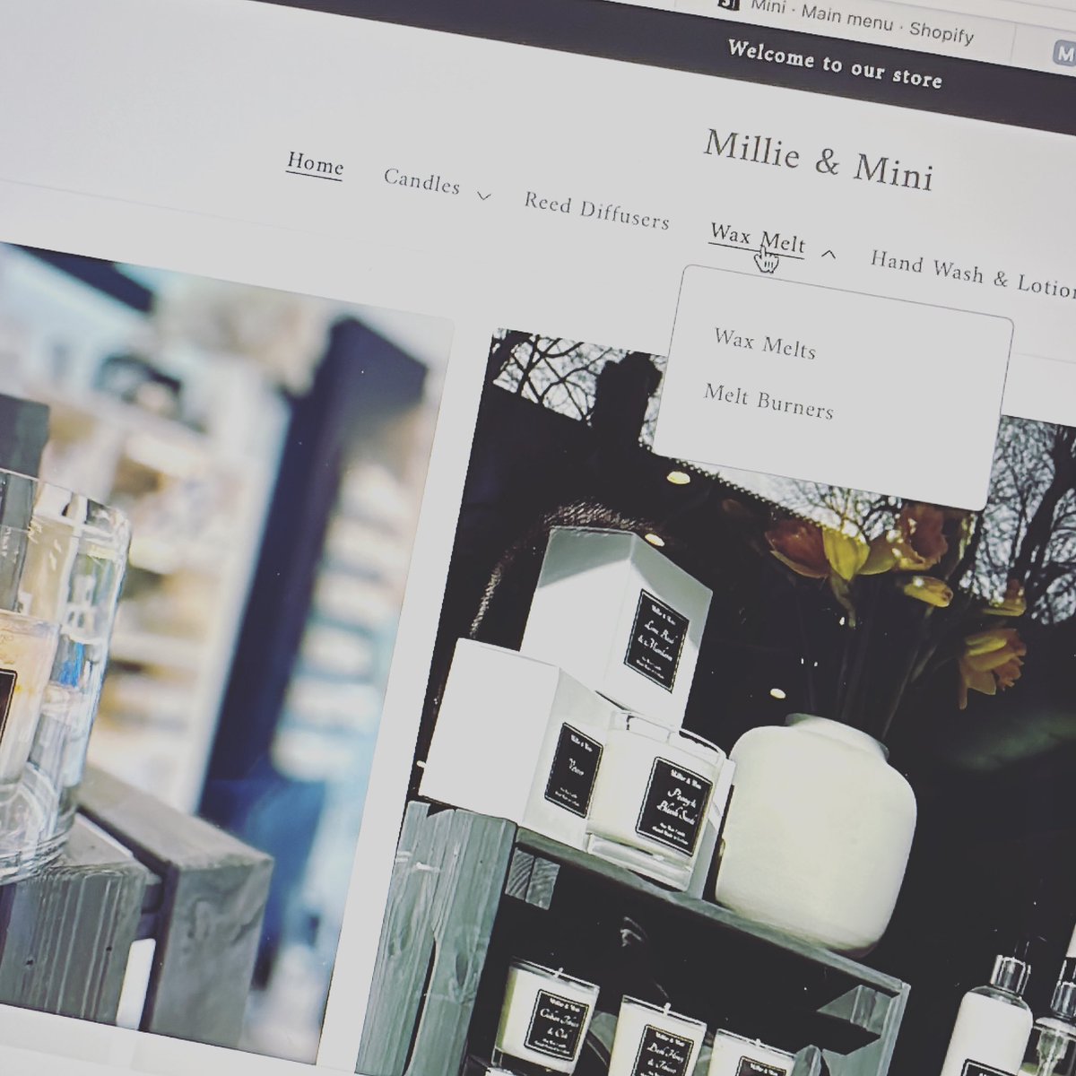 Millie & Mini tweet media