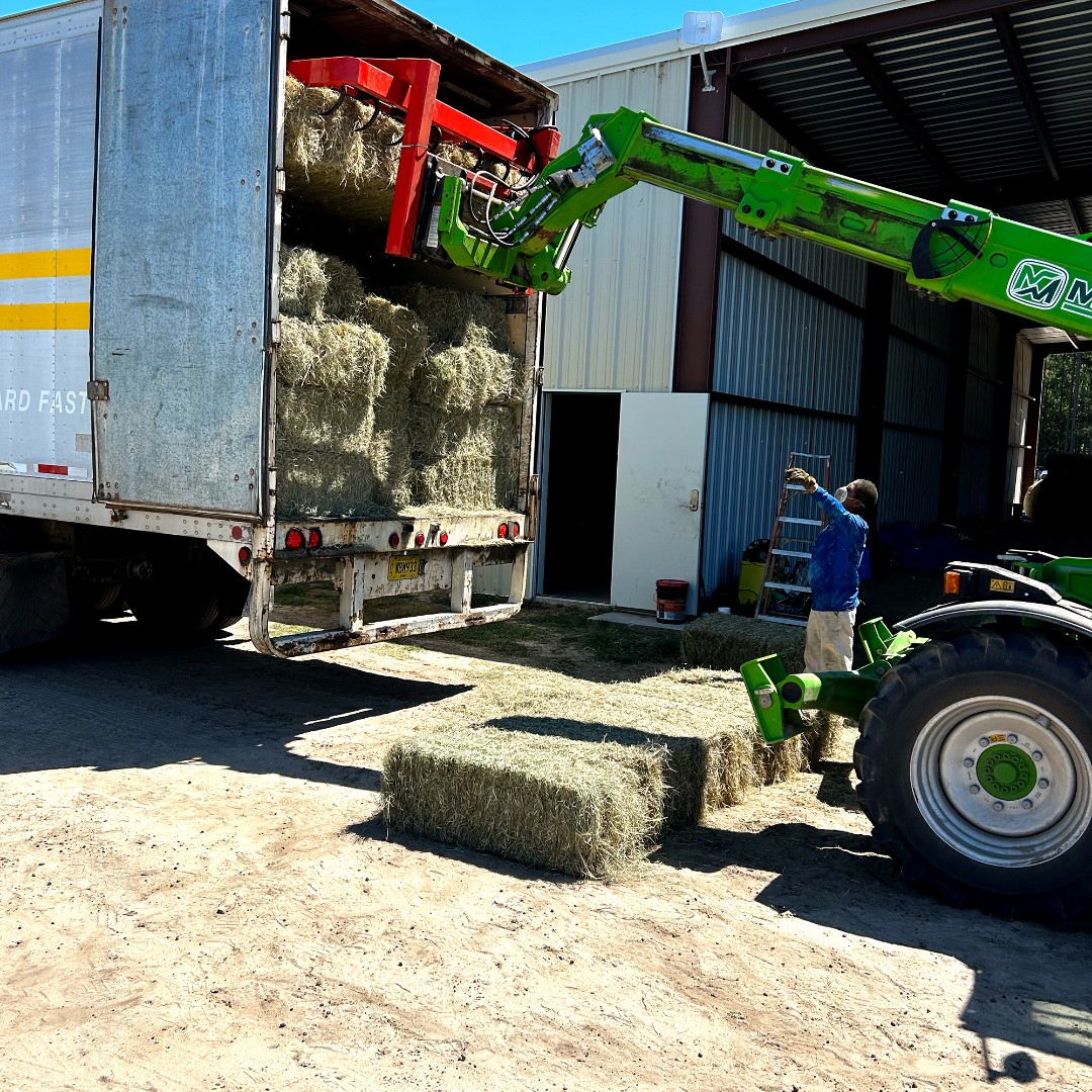 Merlo USA tweet media