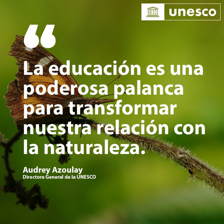 "Debemos invertir y fomentar la educación medioambiental para preservar el planeta." <a href="/AAzoulay/">Audrey Azoulay</a> 

La #UNESCO pide a todos los países que la educación medioambiental sea un componente central del currículo escolar de aquí a 2025.

on.unesco.org/3bCOENV #AprenderPorElPlaneta