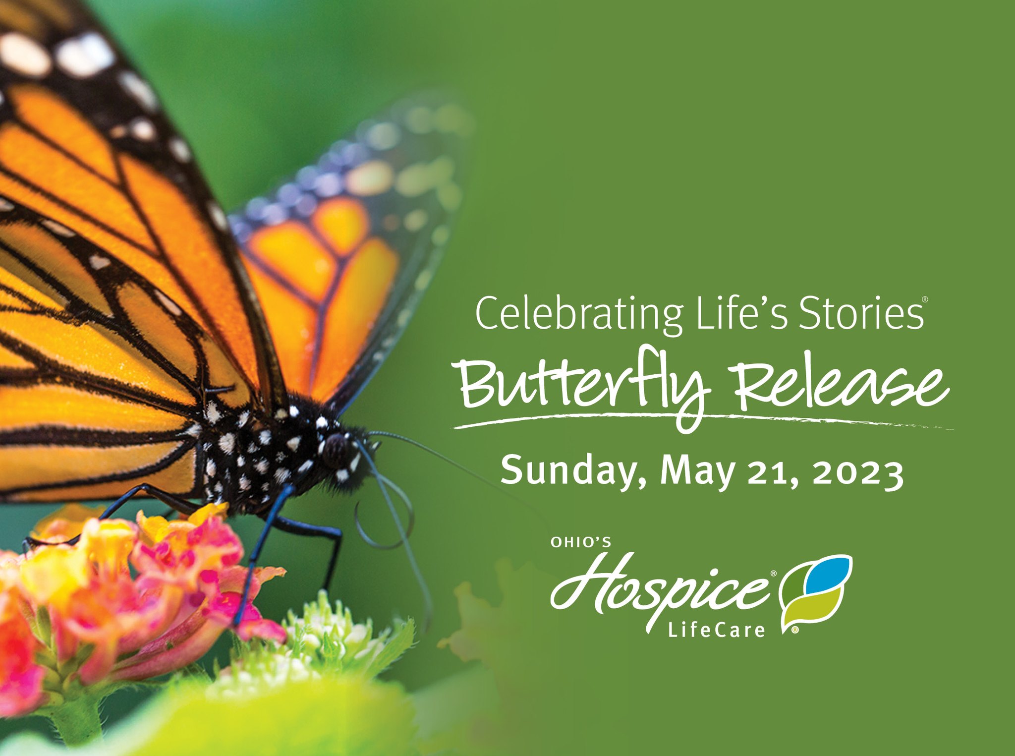 MCTV on Twitter "Join Ohio’s Hospice LifeCare for the 2023 Butterfly
