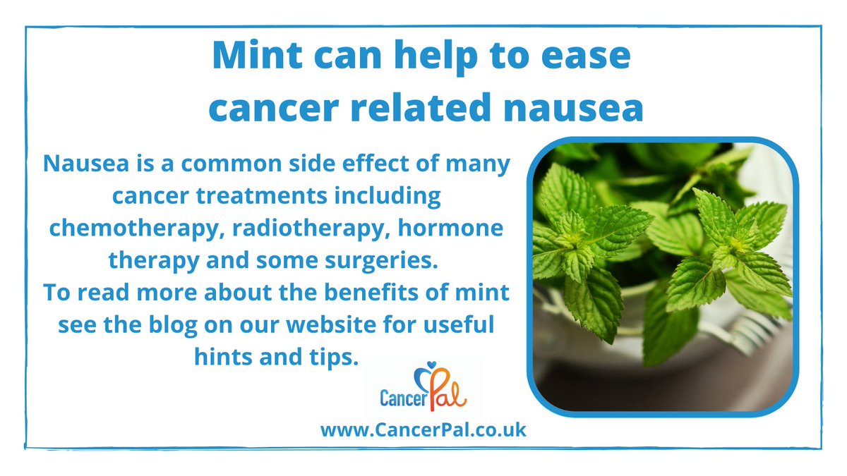 Inhalation of peppermint oil has been shown to be a natural solution for controlling nausea, queasiness and vomiting. To read our article about the properties and benefits of mint for nausea relief, please visit;

cancerpal.co.uk/post/nausea-re…

#cancerpal #cancernausea #chemonausea