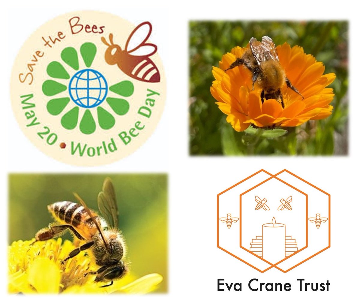 Eva Crane Trust tweet media