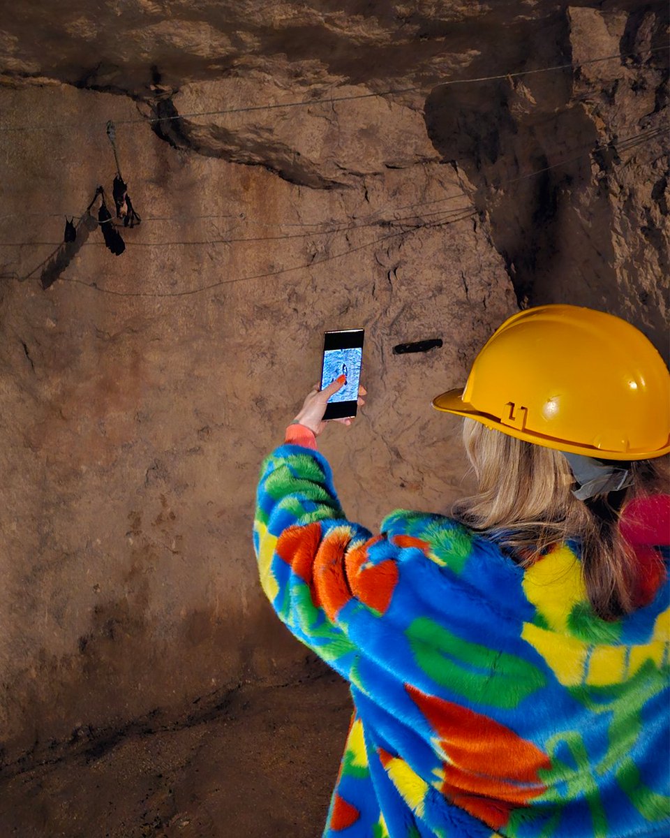 fearne cotton (@fearnecotton) on Twitter photo #ad The <a href="/SamsungUK/">Samsung UK</a> Galaxy S23 Ultra's night mode is so good, it even made these bats look cute 🦇😍
#TeamGalaxy #ad The <a href="/SamsungUK/">Samsung UK</a> Galaxy S23 Ultra's night mode is so good, it even made these bats look cute 🦇😍
#TeamGalaxy