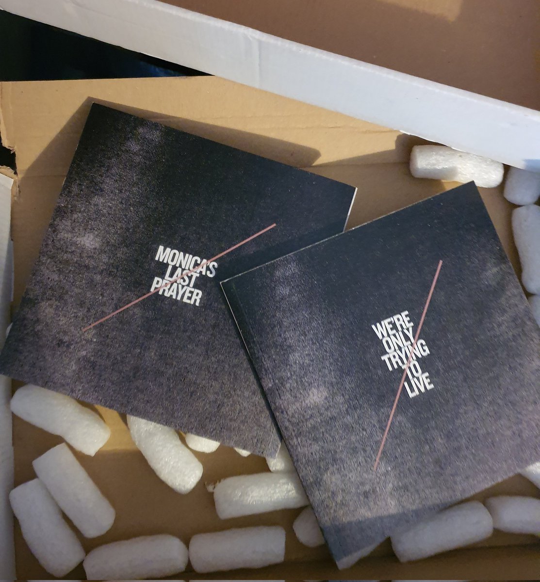 monicaslast's tweet photo. Just checked with my eyes and there are only two copies of the We're Only Trying to Live book left in the box. Last chance to own the physical version (comes with postcard with download code). It's pretty special. ππ€
https://t.co/WhHrBUM5Ne
#gothmusic #ukgoth https://t.co/HhLAOWIzfe