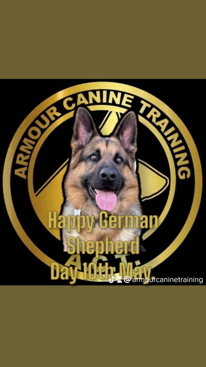 Happy German Shepherd day to all the GSD's out there... ❤️ Share a photo of your GSD with us.

#germanshepherd #germanshepherds #gsd #gsds #germanshepherdday #shareyourphoto #postapic #postaphoto #celebration #celebrategermanshepherds