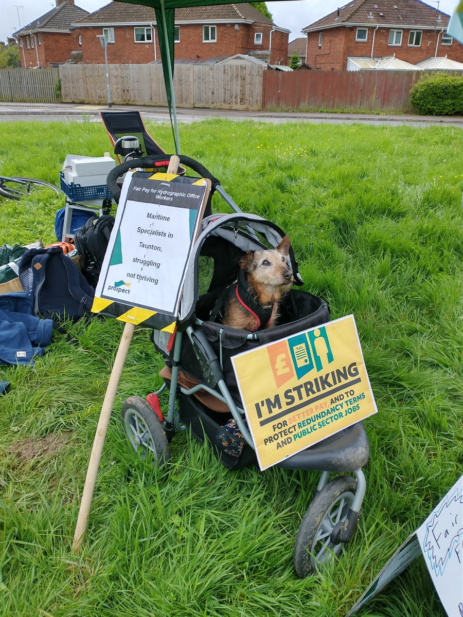 #dogsonpicketlines here at UKHO <a href="/ProspectUnion/">Prospect Union</a>