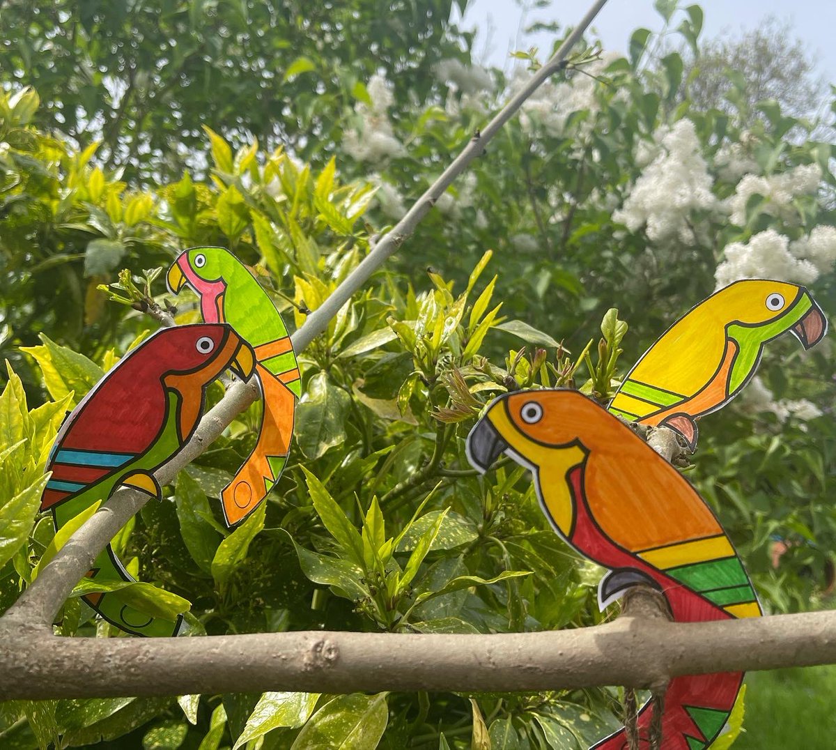 bbinnottingham's tweet photo. Stuck what to do this weekend?  Not going to Wembley? 

Why not come along to the @NottsCountyShow and come and join us for fun and craft. 

One of our crafts is a balancing parrots, which will brighten up any tree :)

Our band will also be performing at 3.00pm and 5.00pm. https://t.co/FBxgX2fhW9