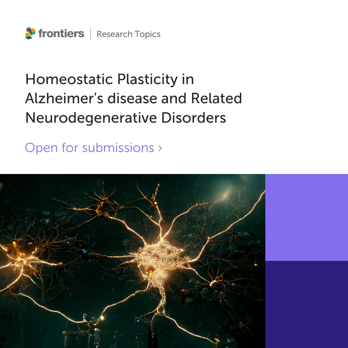 📢Call for papers📢

Share your insights on Homeostatic Plasticity in AD and related neurodegenerative disease through this Frontiers in Neuroscience Research Topic🧠

Topic Editors Drs. Martinsson, Galanis and Gouras welcome your contribution here▶️fro.ntiers.in/HF69