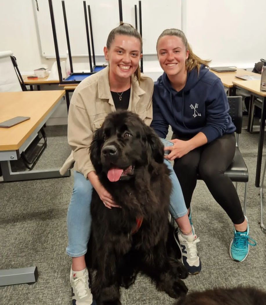 emmajane2104's tweet photo. Therapets make any day infinitely better πΎ
@Physio_RGU
#YogiCindyBear
#AssistanceAnimals
#PhysioMSc https://t.co/bhL999jLDj