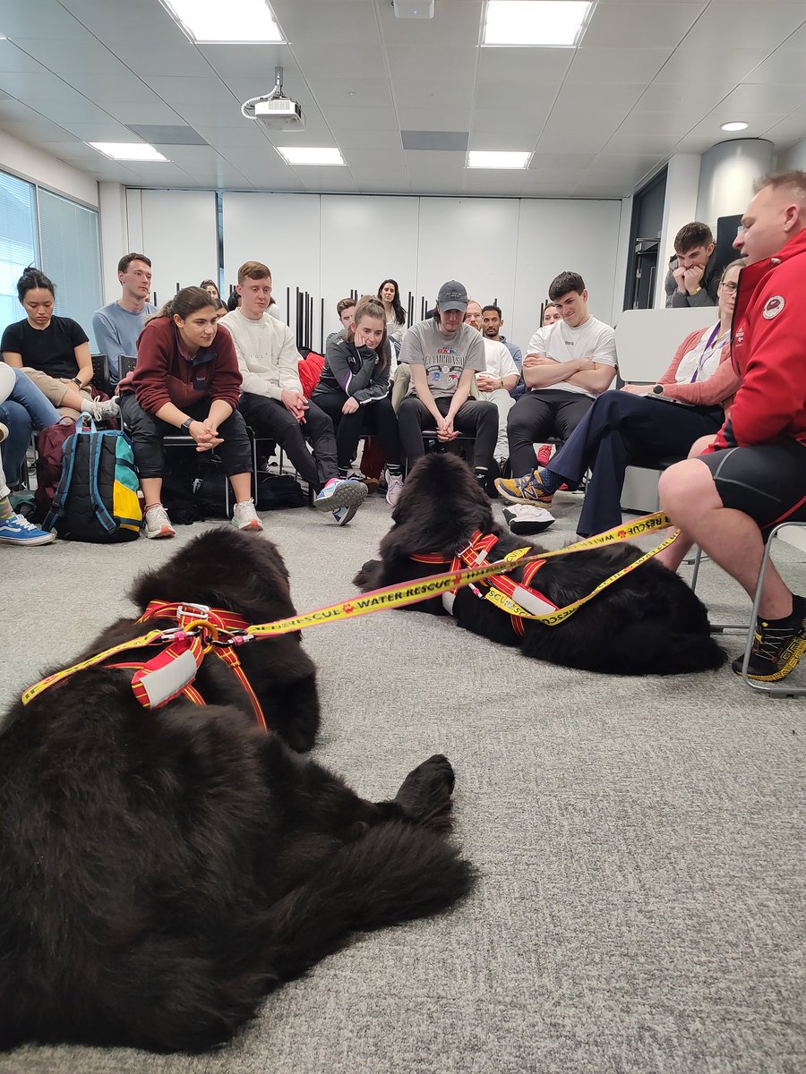 emmajane2104's tweet photo. Therapets make any day infinitely better πΎ
@Physio_RGU
#YogiCindyBear
#AssistanceAnimals
#PhysioMSc https://t.co/bhL999jLDj