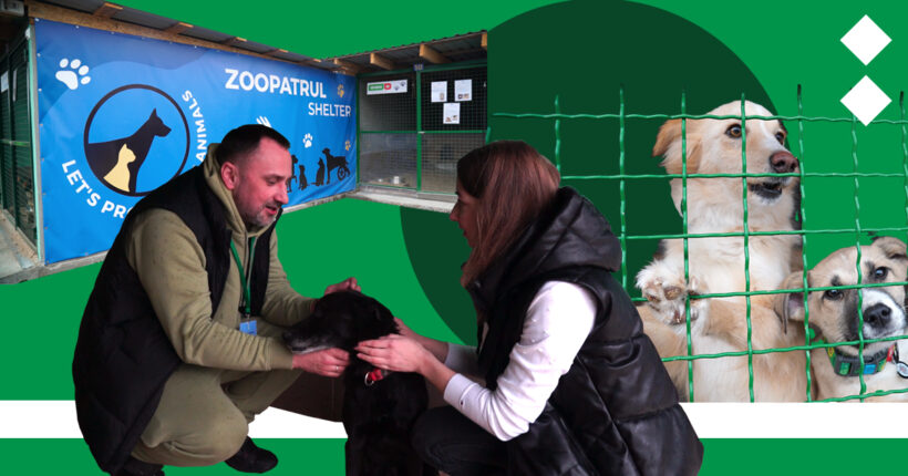 ukraine_world's tweet photo. Zoopatrol UA is a unique animal shelter in Ukraine that treats complex cases in their veterinary clinic and works to find permanent homes for animals.

@RubrykaEng learned how a 🇺🇦 film producer and his team created this special shelter during wartime ➡️ https://t.co/tUVnORd6bt https://t.co/ZlNr7EUj70