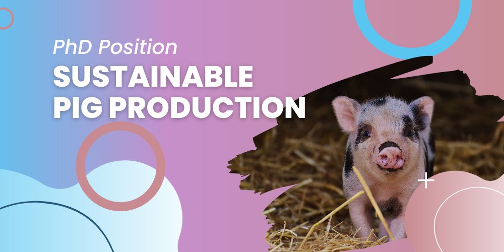 📢 Ph.D. opportunity!

🐷Join the great team of <a href="/agroscope/">Agroscope</a> and the <a href="/ReLivestock/">HEurope Re-Livestock</a> project to work in the field of sustainable #pigproduction. 

🗳️Apply now here: lnkd.in/eitunQua

#pigresearch #horizoneu