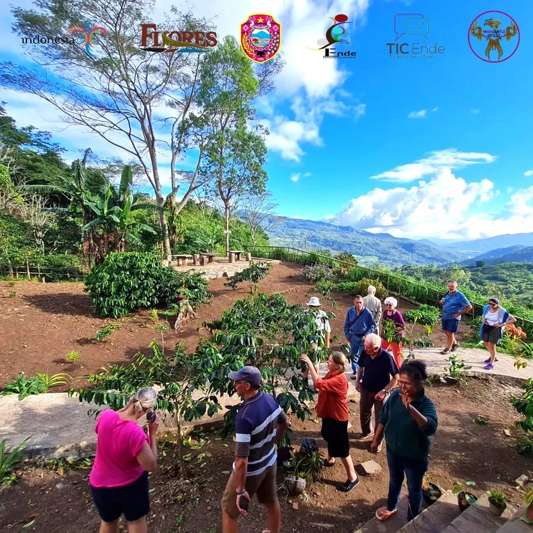 DisparKabEnde's tweet photo. Ende Lovers, Wolopaku Coffee Tour
📍Wolopaku,Ds Kebesani,Kec Detukeli,Kab Ende (Jl trans Wokonio-Detukeli)
🚗 1jam 20menit dari Ende

📸 @kebunkopitaniwolopaku

#explorethemysthical #exploretheextraordinaryflores #endesareliopawe #wonderfulindonesia #banggaberwisatadiindonesiaaja https://t.co/N9fhyTXq1V