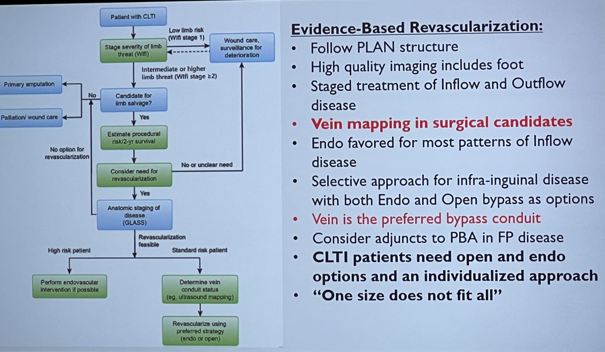 NielsEjskjaer's tweet image. Absolutely Great #ISDF2023 @IntSympDF opening prof #NicolaasSchaper - 40yrs overview #AndrewBoulton - and rock-solid takehomes, vascular @jmills1955 + infection #EdgarPeters

@UniversityManch @UniversityMIA
@MaastrichtU @UvA_Amsterdam @Baylor #StenoNord #SDCN @AalborgUH @Reg_Nord