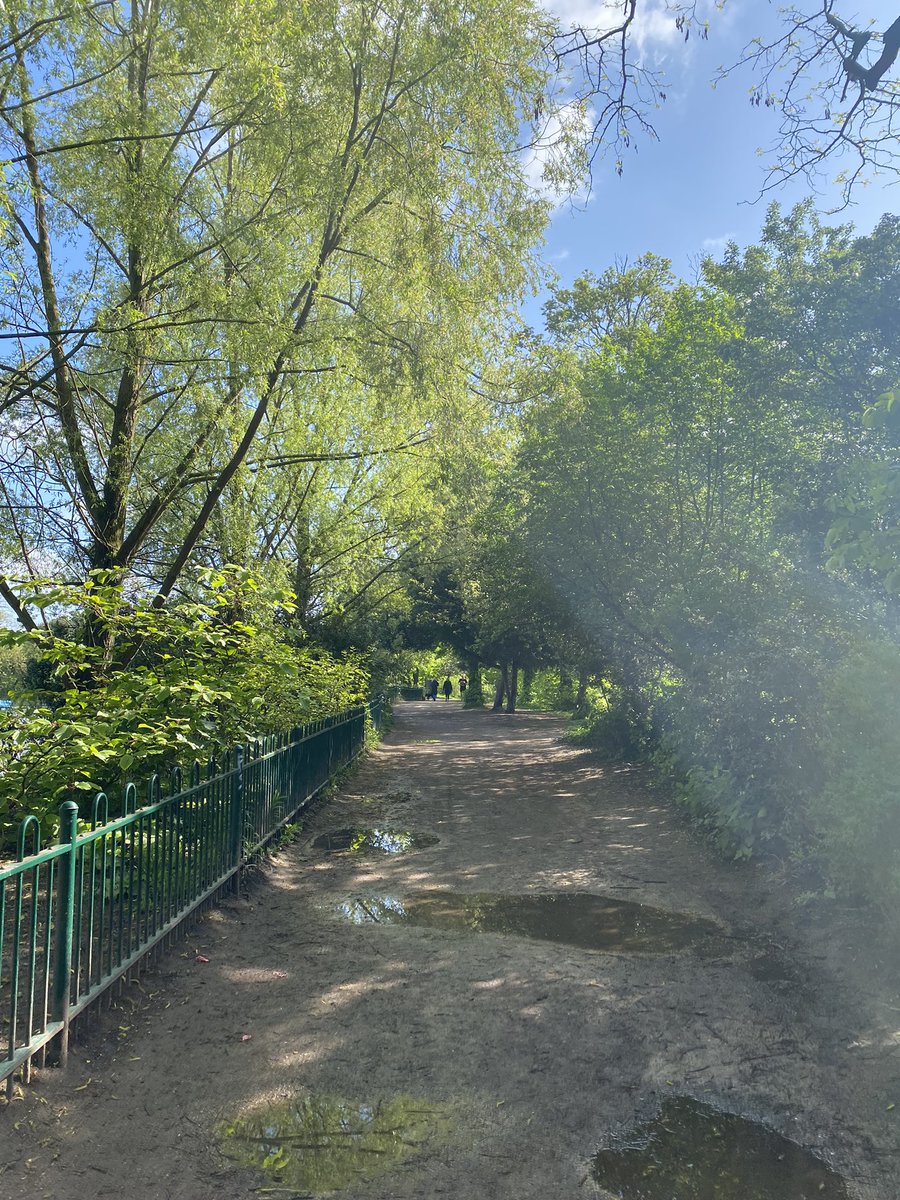 Sian☀️ tweet media