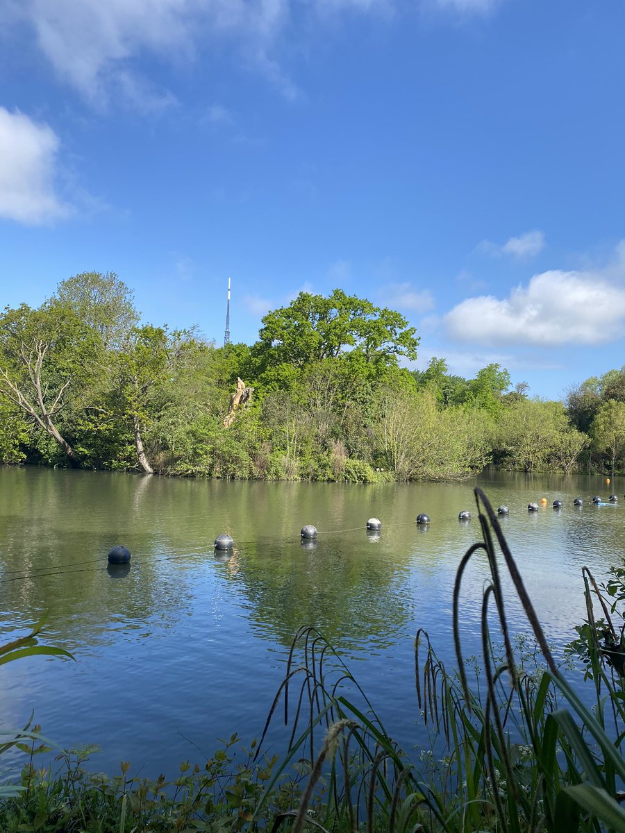 Sian☀️ tweet media