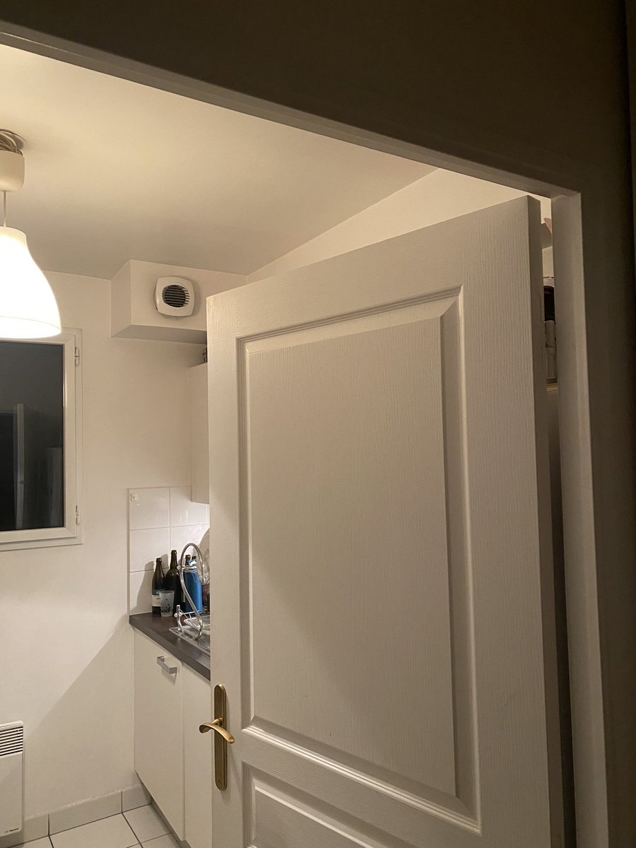 There is no cat in this image tweet media