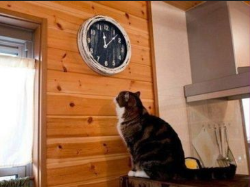 mentalporn's tweet photo. когда купила подарочки и уже хочешь их подарить https://t.co/SfIjWFB7zt