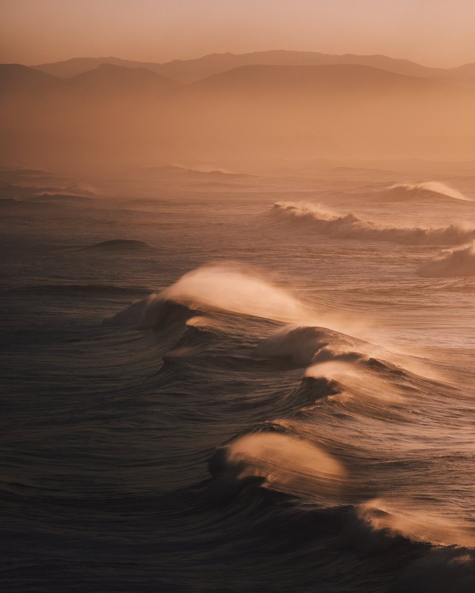 GM photographers, artists and collectors 🌊