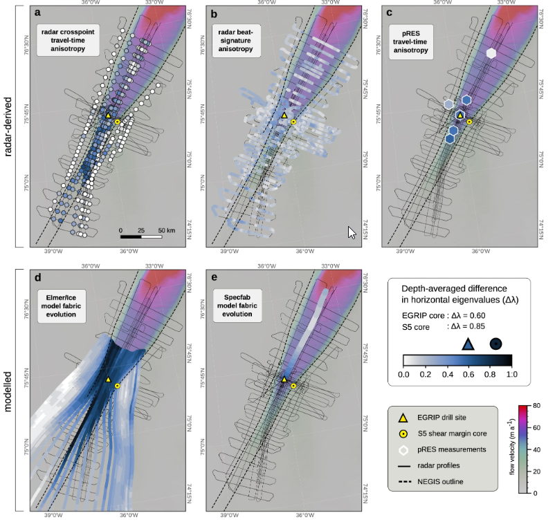 New study by @TamaraGerber5 et al. maps the spatial variation in ice-crystal orientation in the northeast #Greenland Ice Stream and its effects on ice-flow dynamics in this region @iceadvices @nmrathmann @RezaErshadi6789 @OleZsng @AGrinsted nature.com/articles/s4146…