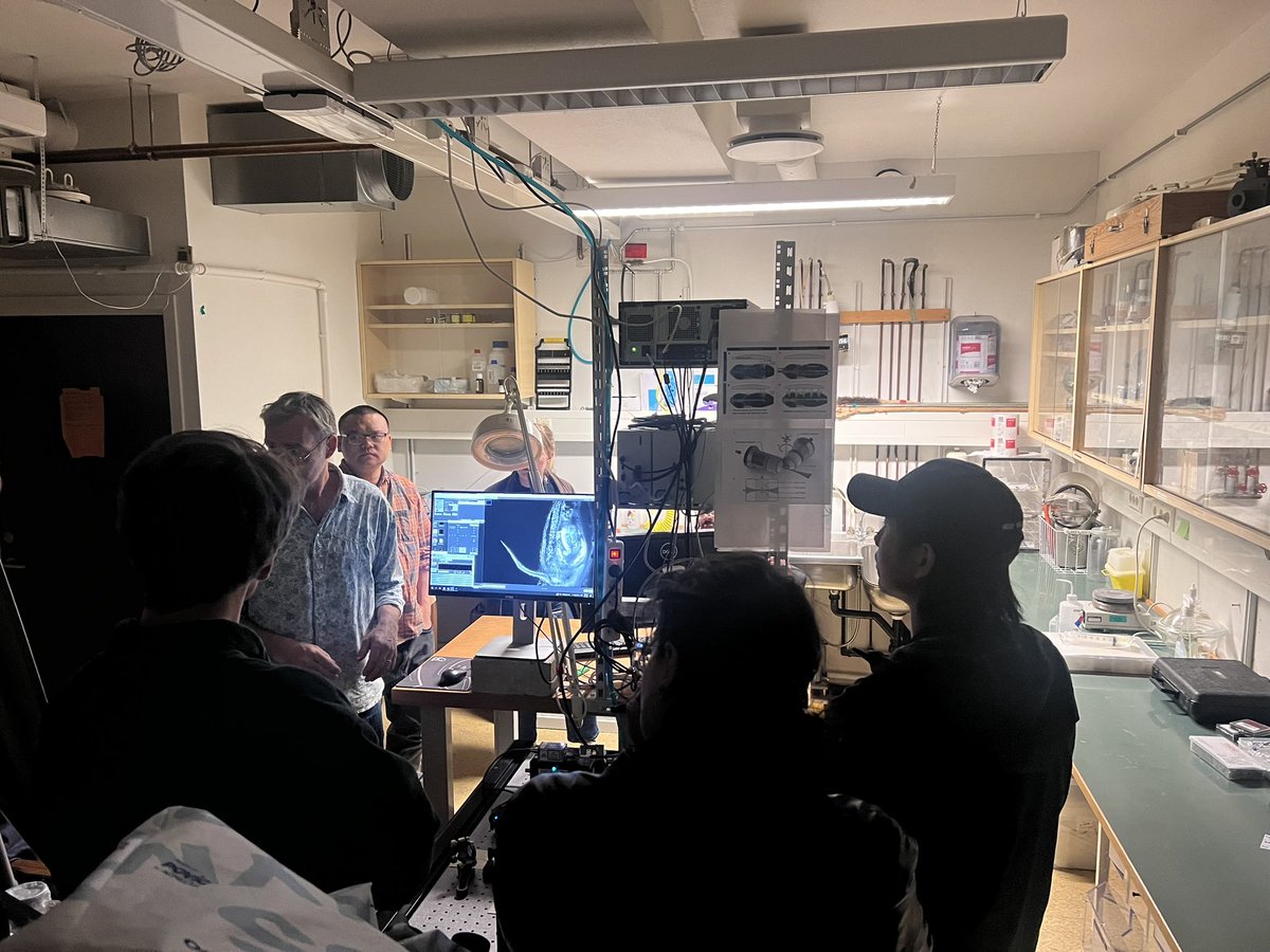 Edna,Xian HU tweet media