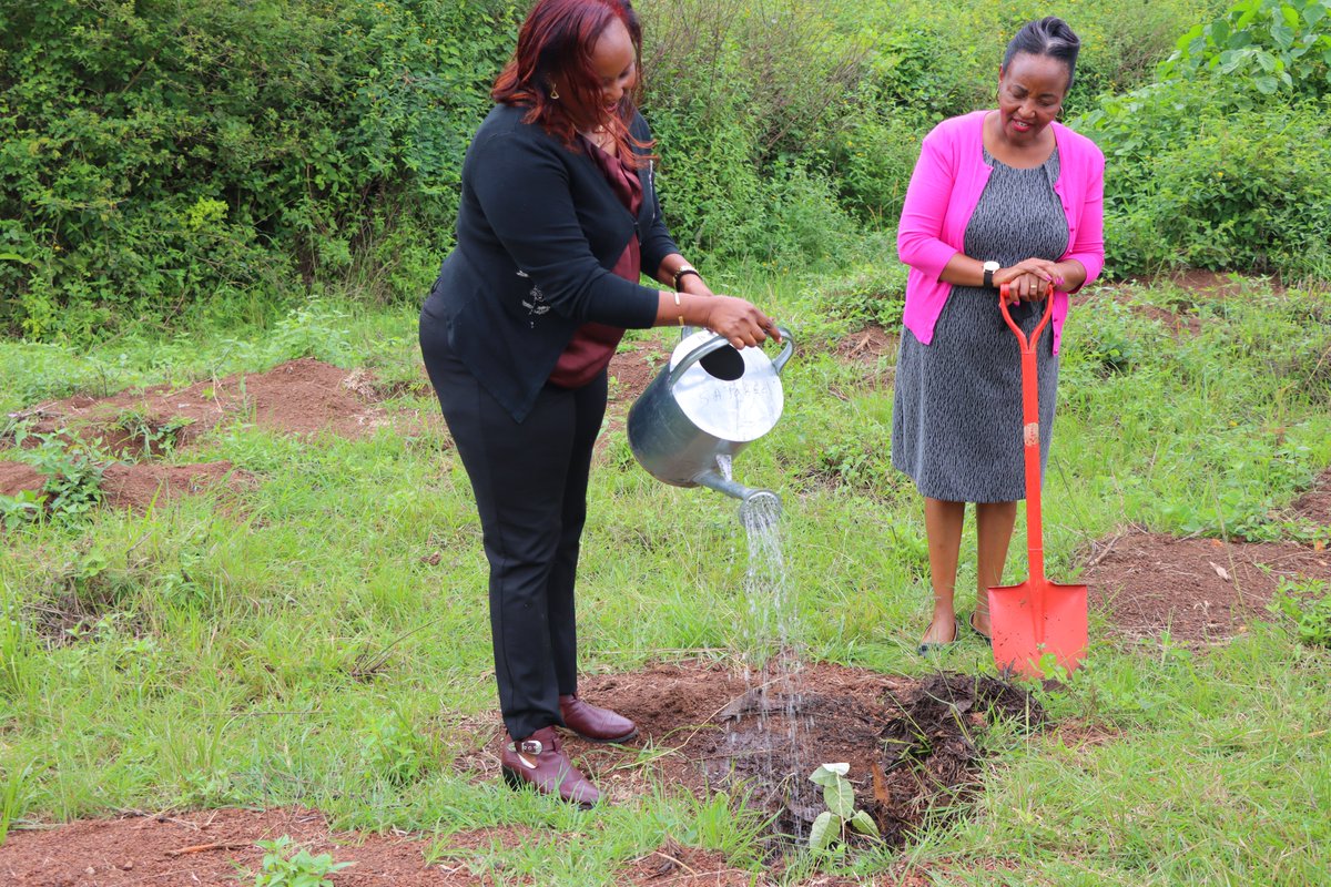 Discover JKUAT tweet media