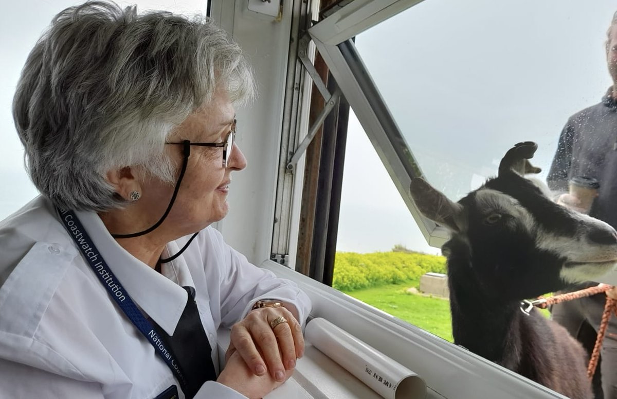 FolkestoneNci's tweet photo. We're used to handing out treats to the many dogs that drop by our watch station. However, we think this is the first time that Ziggy the goat has ever popped his head through the window! https://t.co/uz60sByi7B