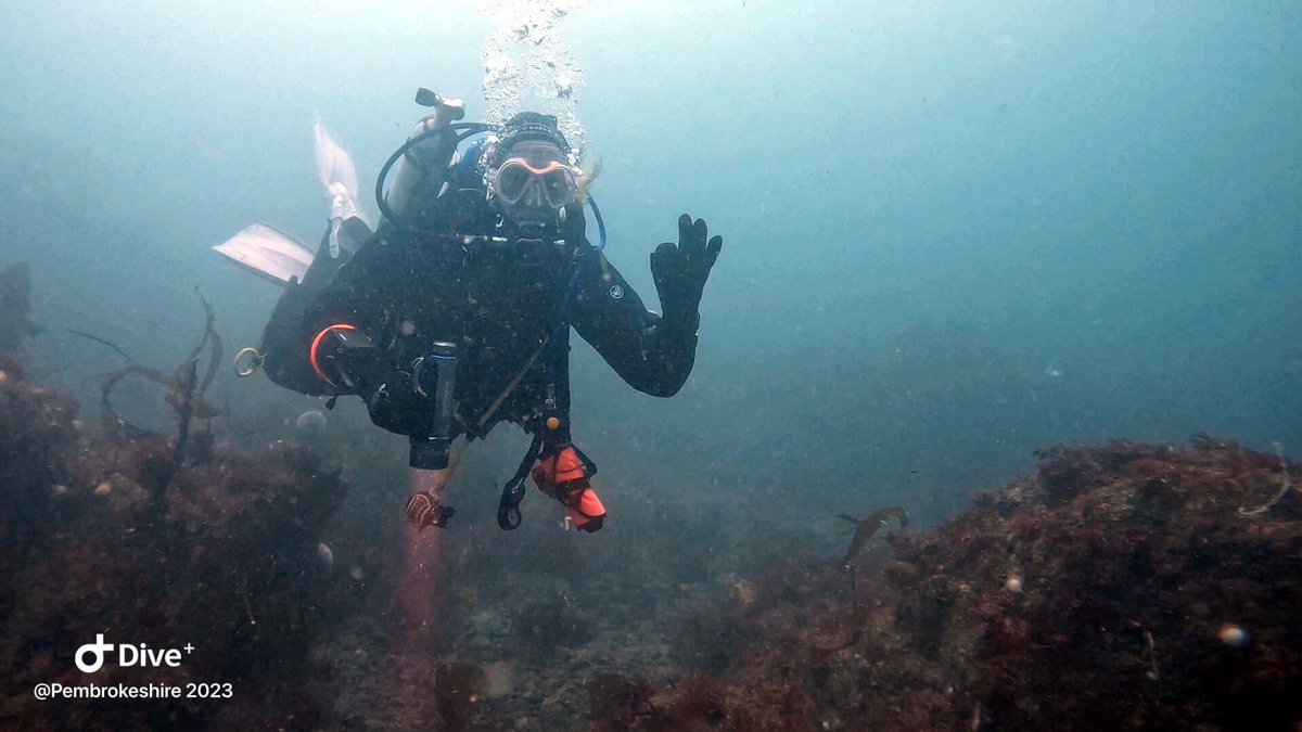 Dearne Valley Divers tweet media