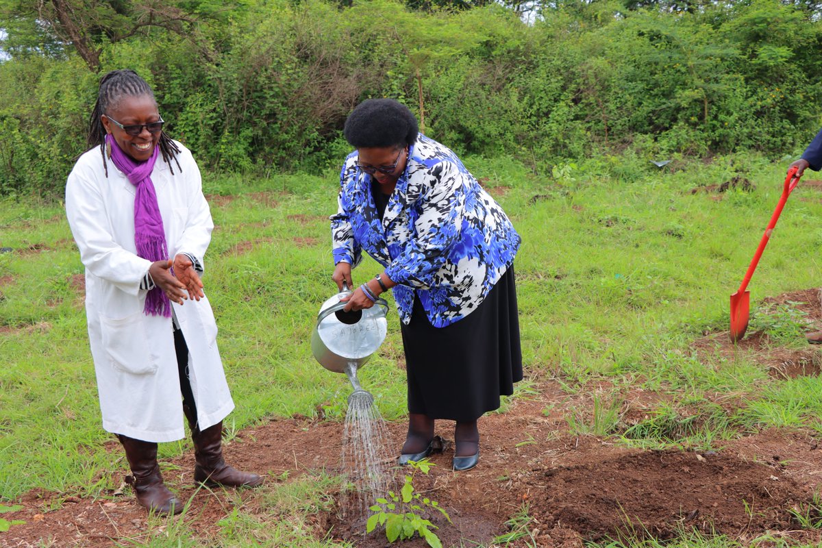 Discover JKUAT tweet media