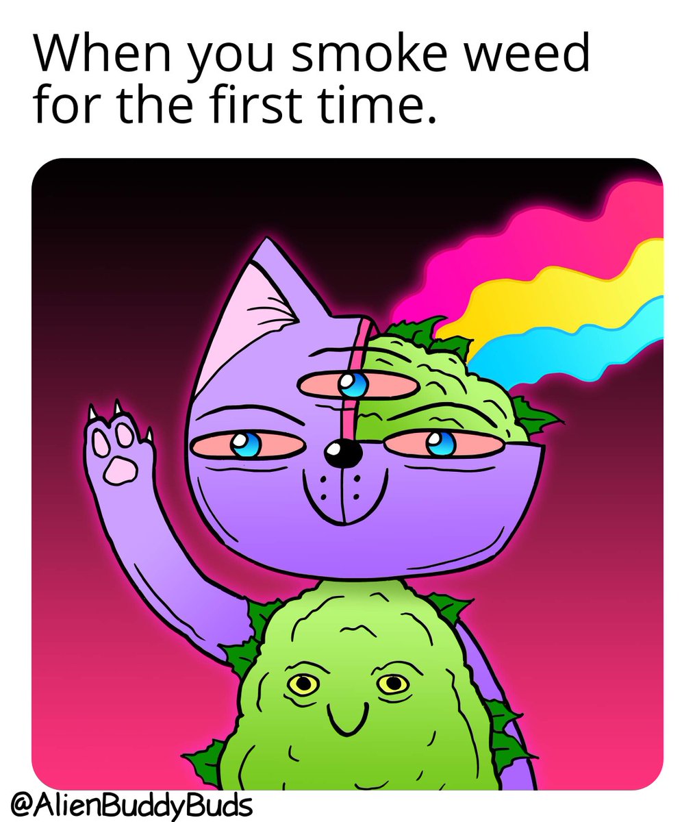 Who can still remember it?
I remember it very well 💚🤣🤣

#ABBmemes #420community #weedmemes