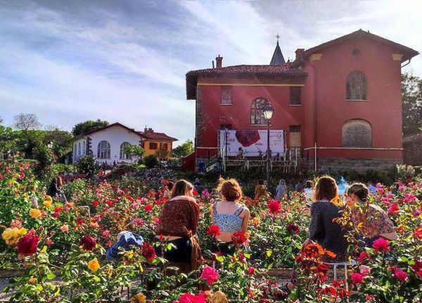 🎼 🍷 Prosegue la rassegna “Rose Libri Musica Vino” all'interno del @ParcoSGiovanni a #Trieste. 👉 Ecco il programma completo bit.ly/RoseLibriMusic…