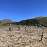 Photo by Qambathi Mountain Lodge**** (@Qambathi)