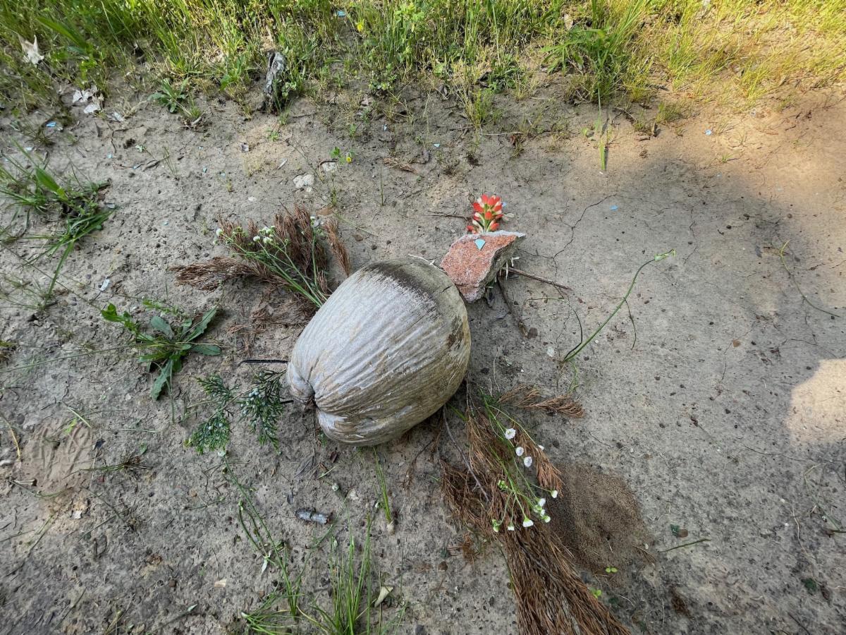 RadJoyHardTimes's tweet photo. Remember the Mad Men episode with the picnic litter? What if, one day, we were as appalled by unattended hurt places as we are now by such mindless trashing of the land? Read this week's Radical Joy Revealed.  https://t.co/DLXi8en4hp
https://t.co/rWZR8tuWAh https://t.co/m5LgureyFx