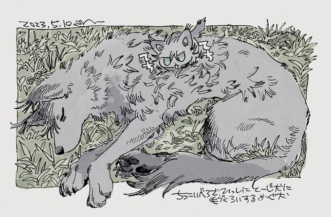 > ちっこいべろで頑張りながら必死に甚爾(犬)に毛繕いしてあげる恵(ちび犬)が見てみたいです🐶🐾🐕 #odaibako_yukiji61   リクエストありがとうございます🐶