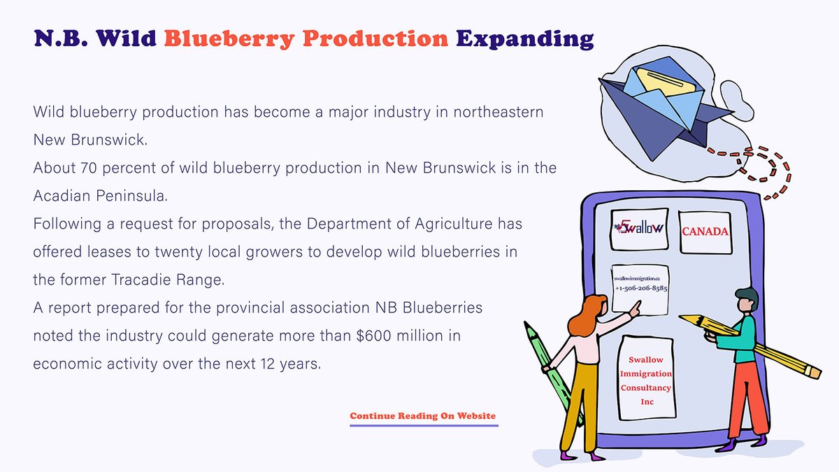 NewbrunswickCa's tweet photo. N.B. Wild Blueberry Production Expanding
https://t.co/j9cLq45mtD
#Canada #CanadaNews #NewBrunswick #NewBrunswickNews #News #blueberries #industry #NBBlueberry #northeasternNewBrunswick #WildBlueberry #Wildblueberryproduction #acadianpeninsula #blueberries #TracadieRange https://t.co/vAoP5fslpG