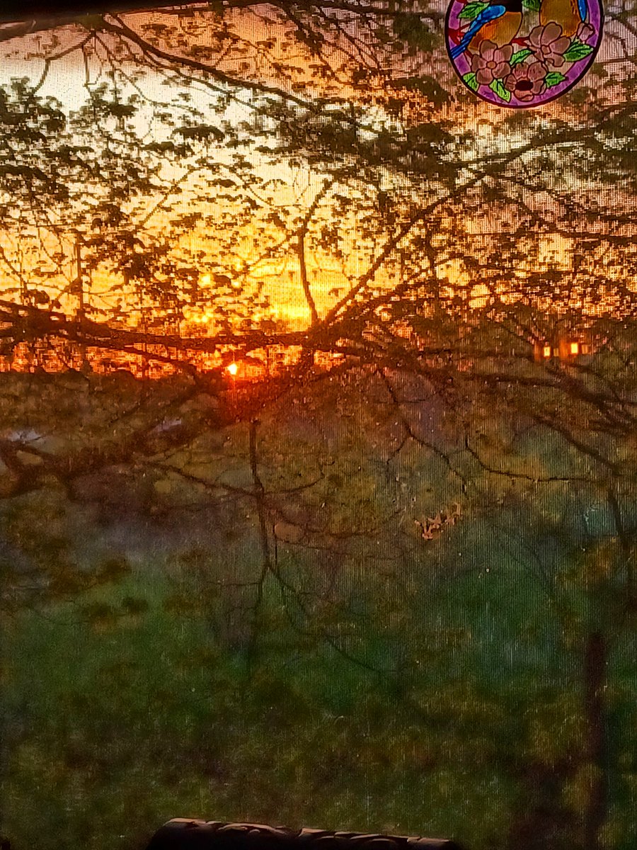 Good Morning!