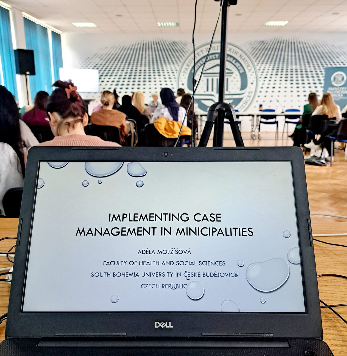 Anna Lodeserto tweet media