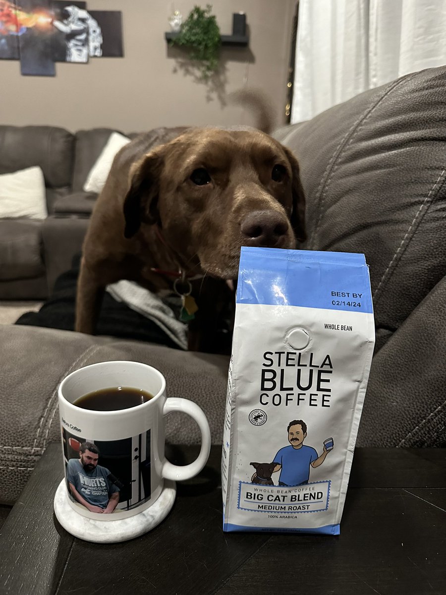 Brought Benson some <a href="/StellaBlueCoff/">Stella Blue Coffee</a> and he instantly woke up <a href="/BarstoolBigCat/">Big Cat</a>