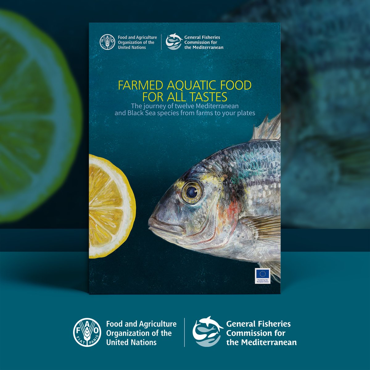 UN_FAO_GFCM's tweet photo. @InstitutLyfe @IPB_Research Farmed aquatic food for all tastes: The journey of 12 Mediterranean &amp; Black Sea species from farms to your plates❗

#Aquaticfoods are a healthy source of protein and a key element of the #Mediterranean diet

https://t.co/jr6NFRqoWe
#taste4aquaculture 
@IPB_Research @InstitutLyfe https://t.co/pV0Bmc2aJg