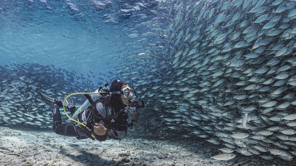 DivingTales's tweet photo. Dive Friends Bonaire https://t.co/bGRKuQoXc9 Found b https://t.co/ssayLAoaG3 https://t.co/MGiwGTA40X