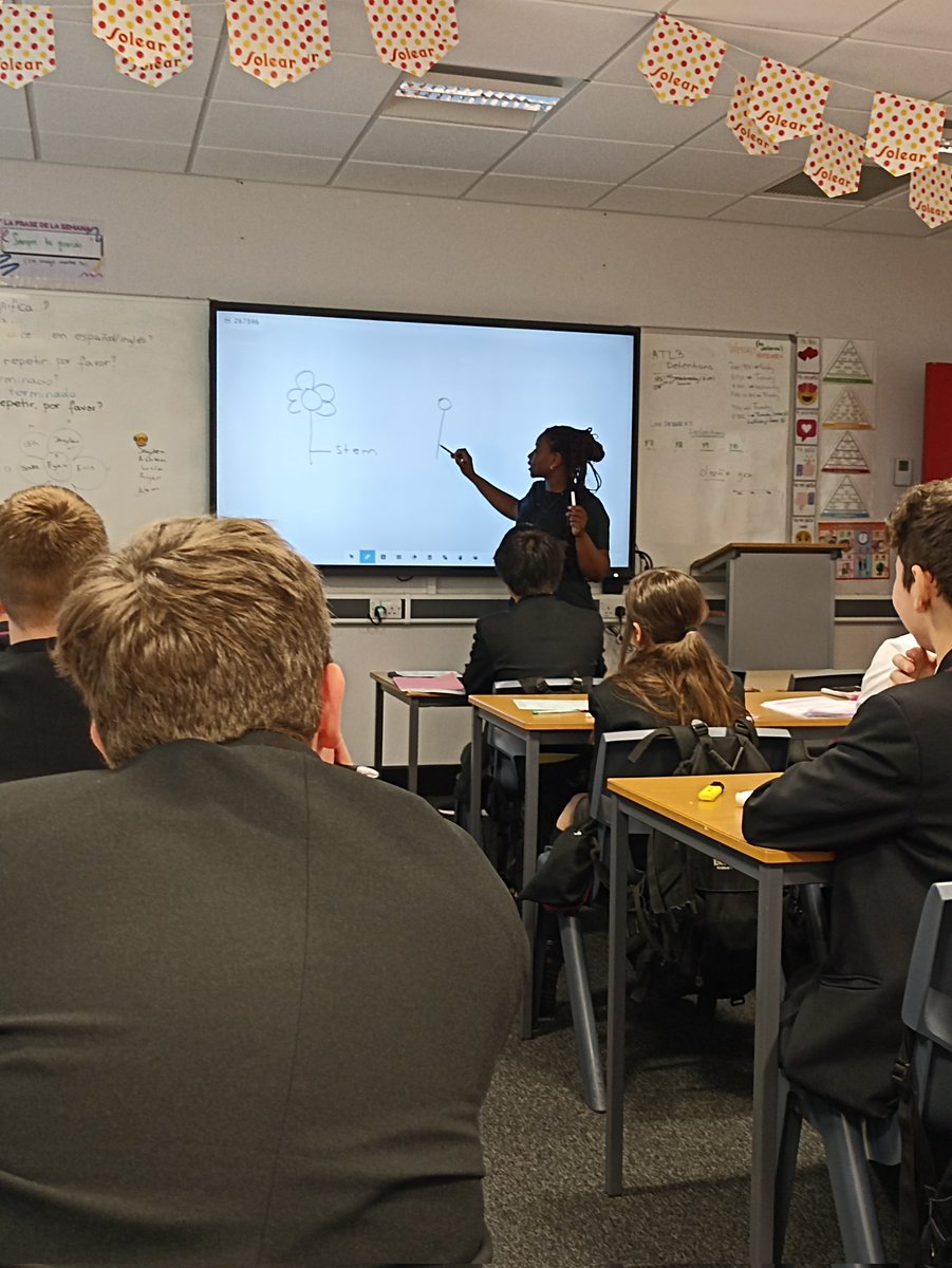 Spanish or science? Great explanation on Spanish grammar from Miss Mendes