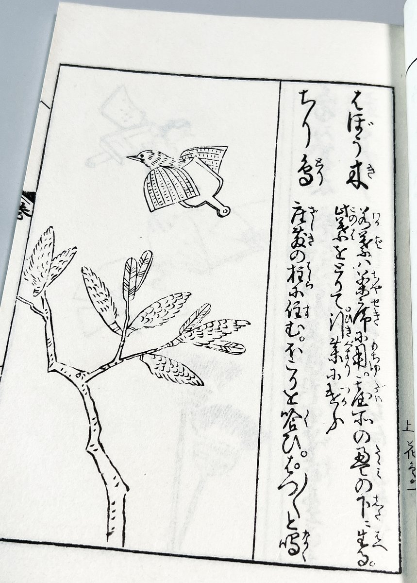 愛鳥週間なので、ナイス鳥ブックをご紹介。江戸時代の器物擬鳥化画集、『見立百化鳥』を手に入れました! オリジナルの出版は1756年、こちらは尾崎久彌による復刻版。『ちり鳥』のキャプション良すぎる。>座敷の柱に住む。ほこりを喰ひ。ぱっぱっと鳴く。