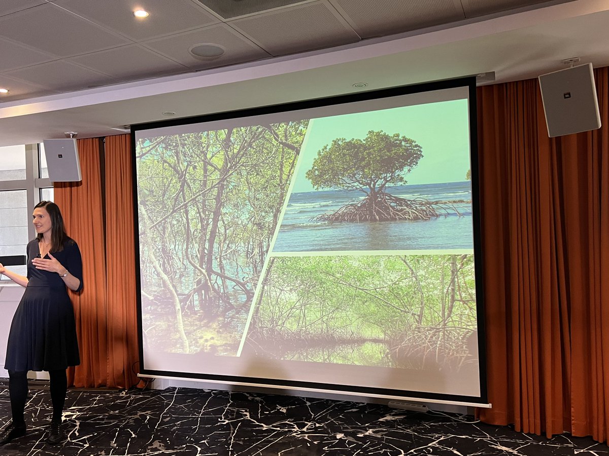 1/3 of all mangroves have been lost. <a href="/valerie_hagger/">Valerie Hagger</a>’s research will directly address this climate issue through community forestry and #indigenous co-management in the #OceanDecade. <a href="/AXAResearchFund/">AXA Research Fund</a>
