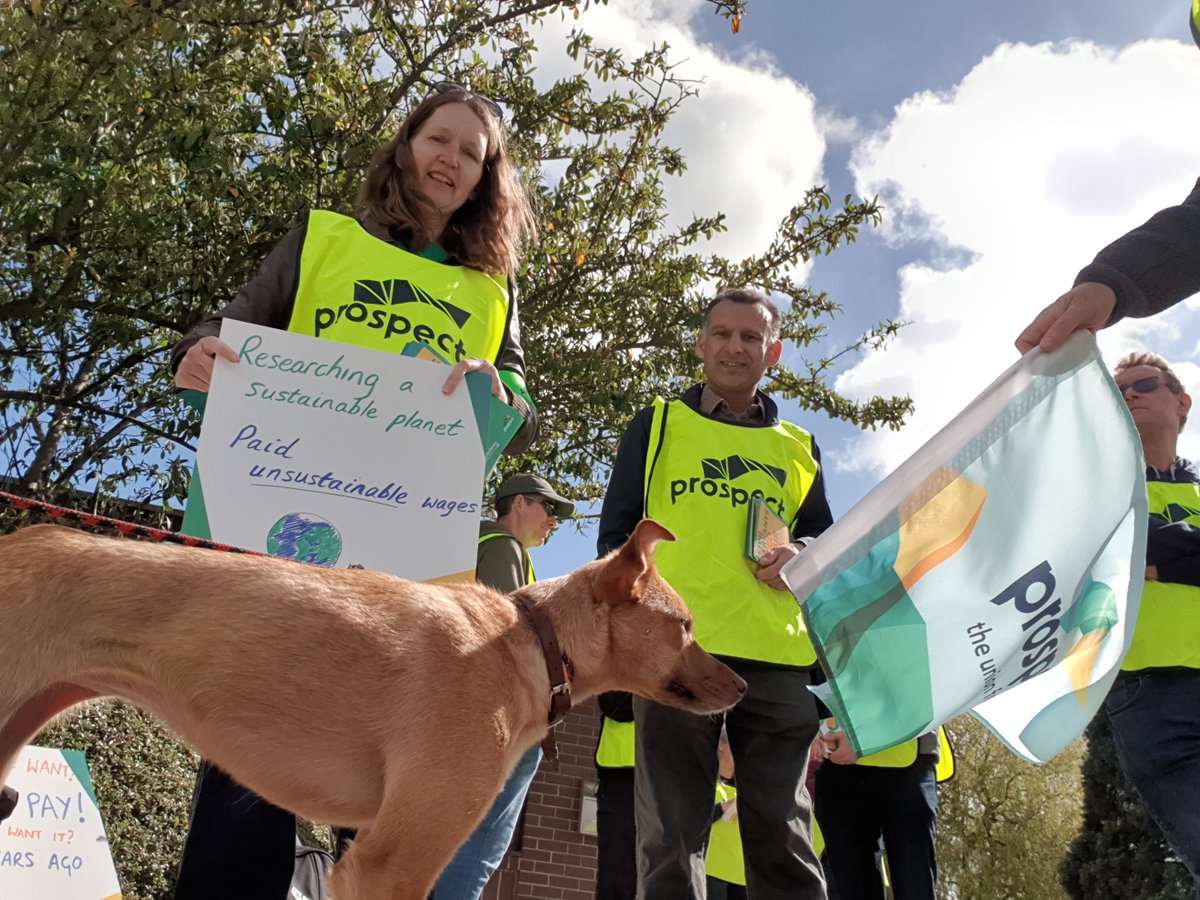 _CarlWatson_'s tweet photo. @decvalts @ProspectScot #dogsatpicketlines down South too https://t.co/ZM6zENYgaO