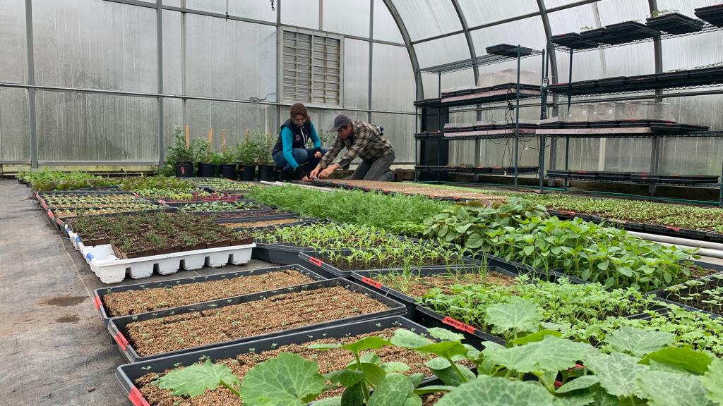 La semana pasada, María Isabel Sánchez (la directora del CI FP Escuela de la Vid) realizó nuestra primera movilidad INTERNACIONAL dentro de nuestro proyecto KA 120 VET acreditado.
La empresa de acogida fue @lomafarm en Traverse City, Michigan (EEUU)
¡Muchísimas gracias @lomafarm