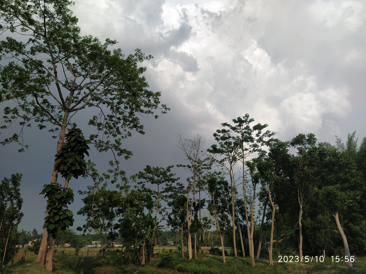 Bikash63's tweet image. #CycloneMochaUpdate  First early party appearance in North of #Brahmaputra over #Assam  by  1550 hrs 🇮🇳 While Sun God makes last smile of the day in the west😀