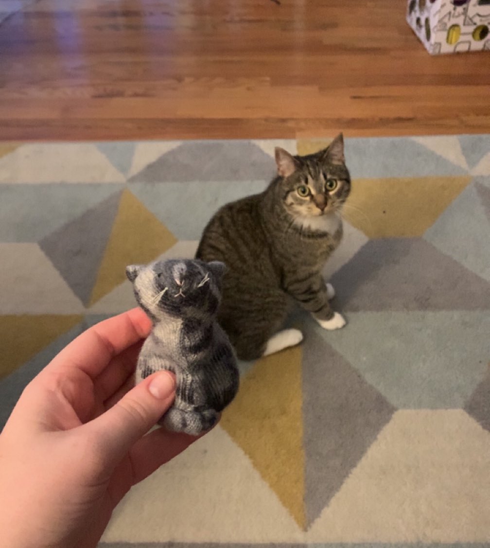 raspberrycat_'s tweet image. twims 😳👯‍♀️